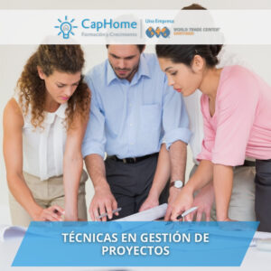 Técnicas de gestión de proyectos
