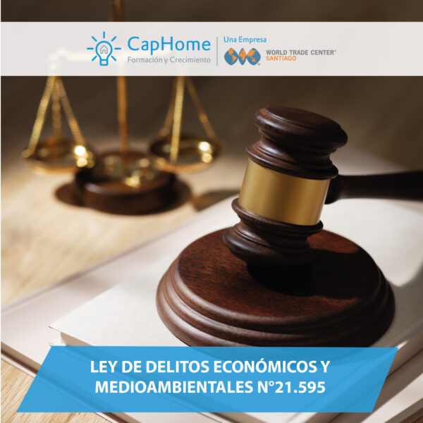 Ley de Delitos Económicos y Medioambientales N°21.595